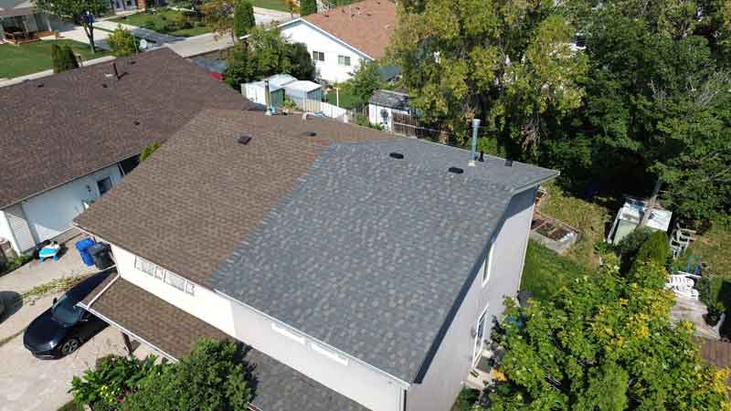 Winnipeg Roof Rejuvenations: Elevate Your Home's Elegance